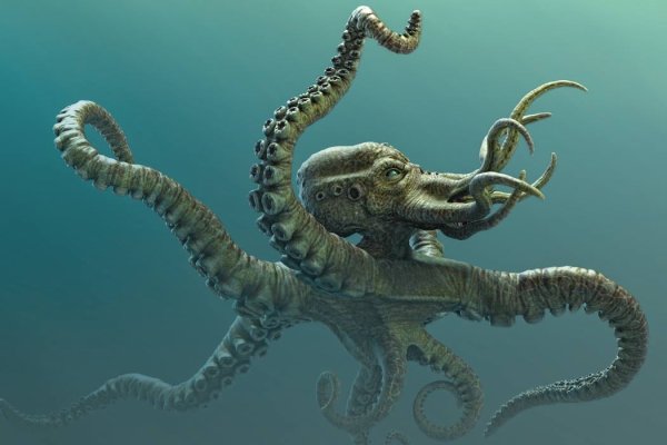 Kraken вывод денег