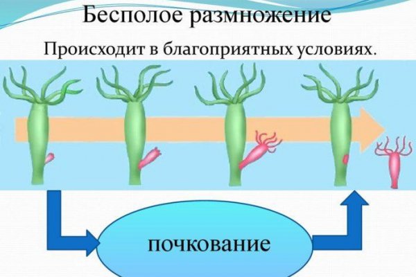 Кракен официальный